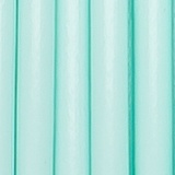 Pastel Mint